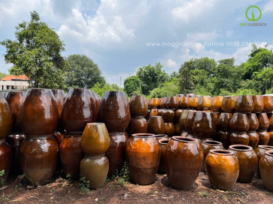 Chum sành trồng cây