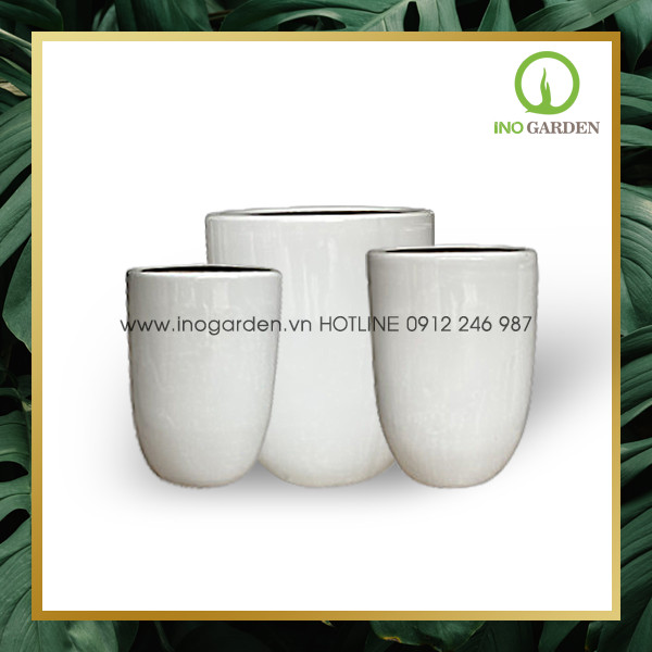 Chậu sứ trồng cây văn phòng MS03