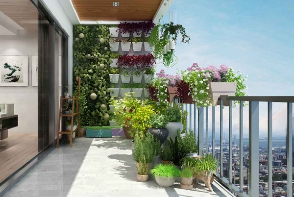 cây kiểng nội thất văn phòng với cây xanh