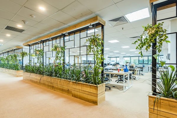 cây kiểng nội thất văn phòng với cây xanh