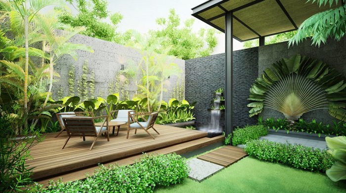 cây kiểng nội thất văn phòng với cây xanh
