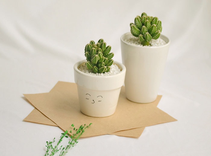Thay đổi hình thức quà tặng sinh nhật nhân viên, tạo sự tò mò từ chậu cây gốm sứ