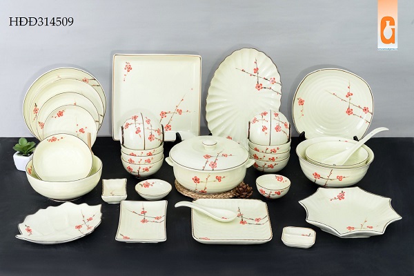 Bát đĩa cho nhà hàng khách sạn, bát đĩa đẹp cao cấp mua ở đâu ? giá tiền bao nhiêu ?