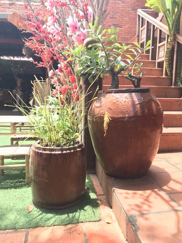 Chậu trồng cây sân vườn