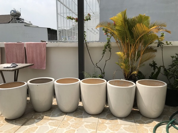 Chậu trồng cây sân vườn